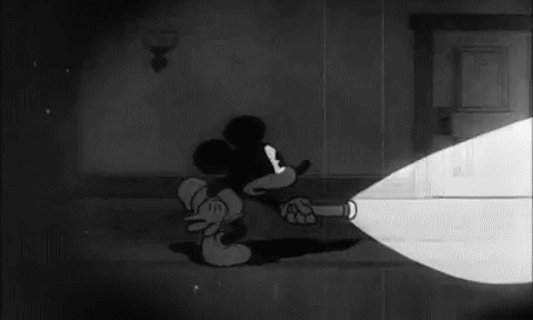 Mickey mouse with flashlight