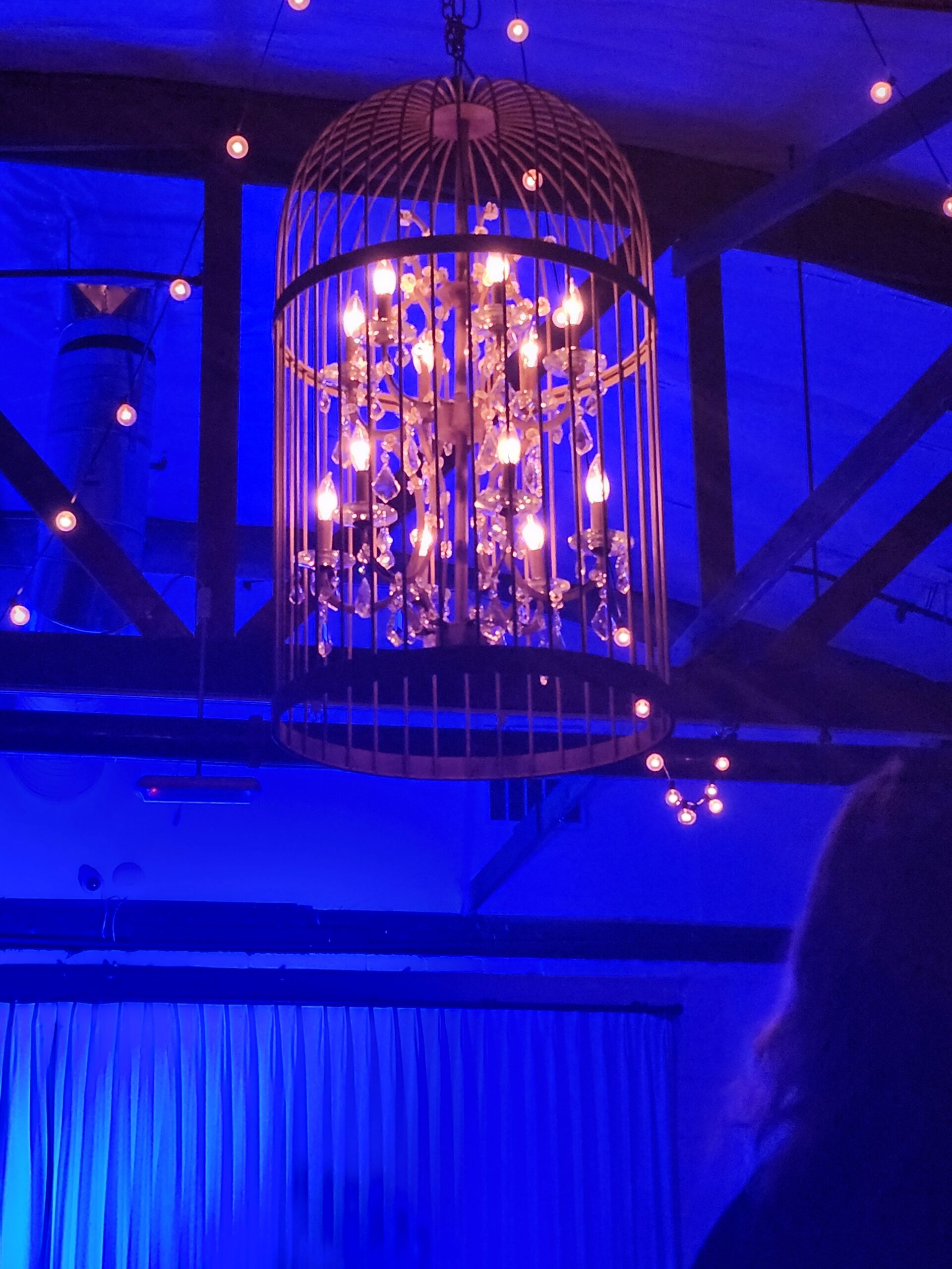 cool pirate chandelier